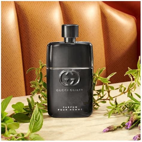 gucci guilty pour homme fragrantica.